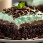 chocolate mint poke cake 2025 08 02 140305 150x150 1