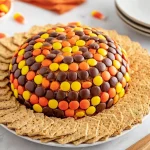 reeses pieces peanut butter ball 2025 09 19 024006 150x150 1