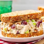 turkey salad with cranberries and pecans 2025 11 21 173237 150x150 1
