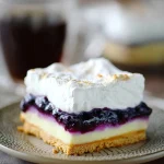blueberry cheesecake dessert 2025 12 10 000556 150x150 1