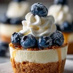mini blueberry cheesecake tarts 2026 04 05 195702 819x1024 1