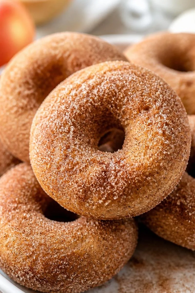 Baked Cinnamon Sugar Apple Cider Donuts